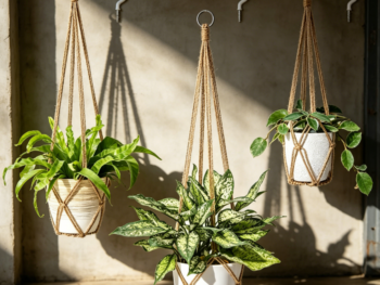 3-Pack Brown Cotton Rope Plant Hanger (58-89cm)