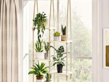 Wood Window Sill Hanging Plant Shelf